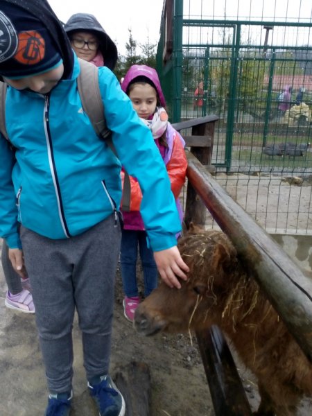 Wycieczka do Jura Parku w Bałtowie